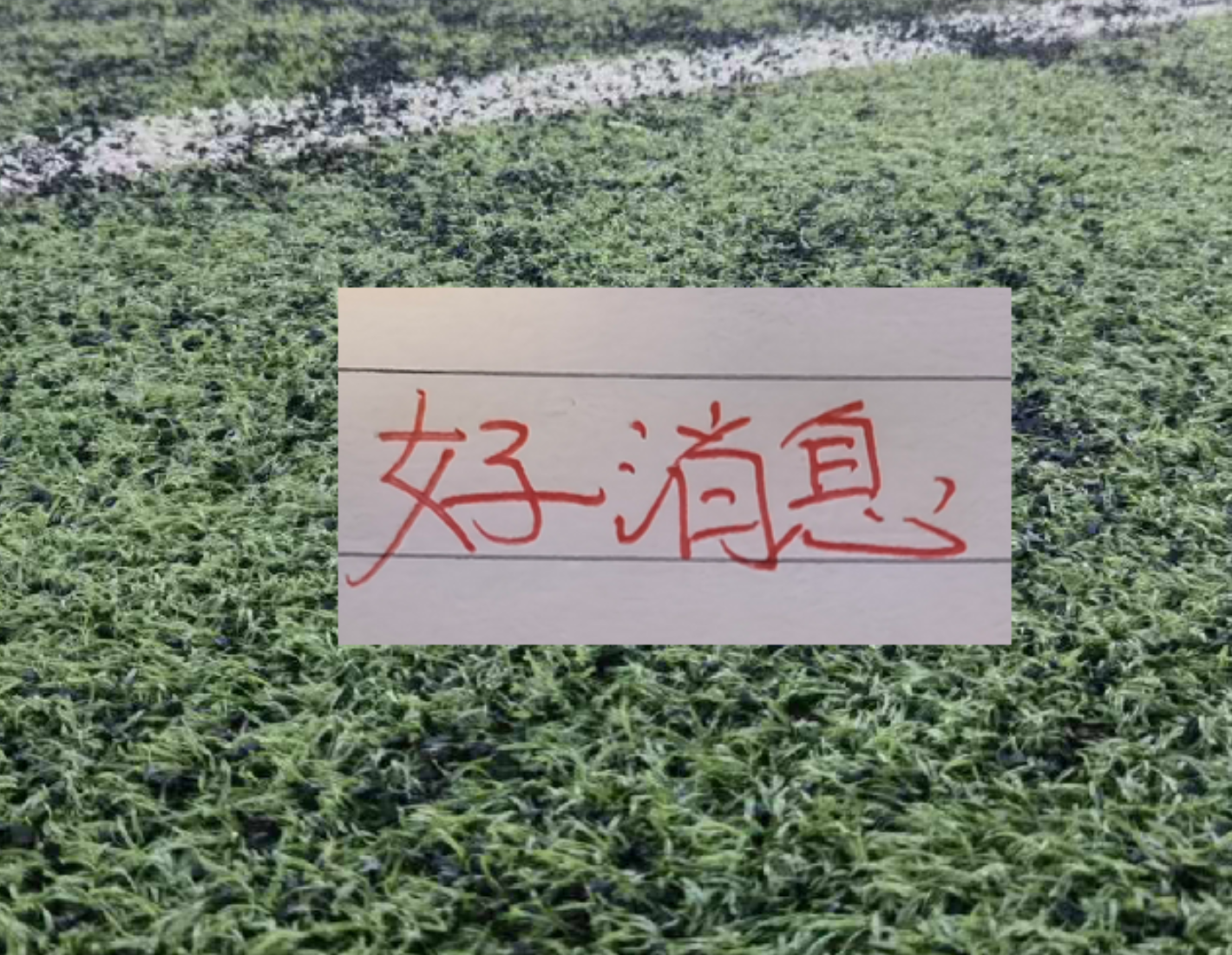德约已在温网男单豪取105胜,追平费德勒并列公开赛时代第一